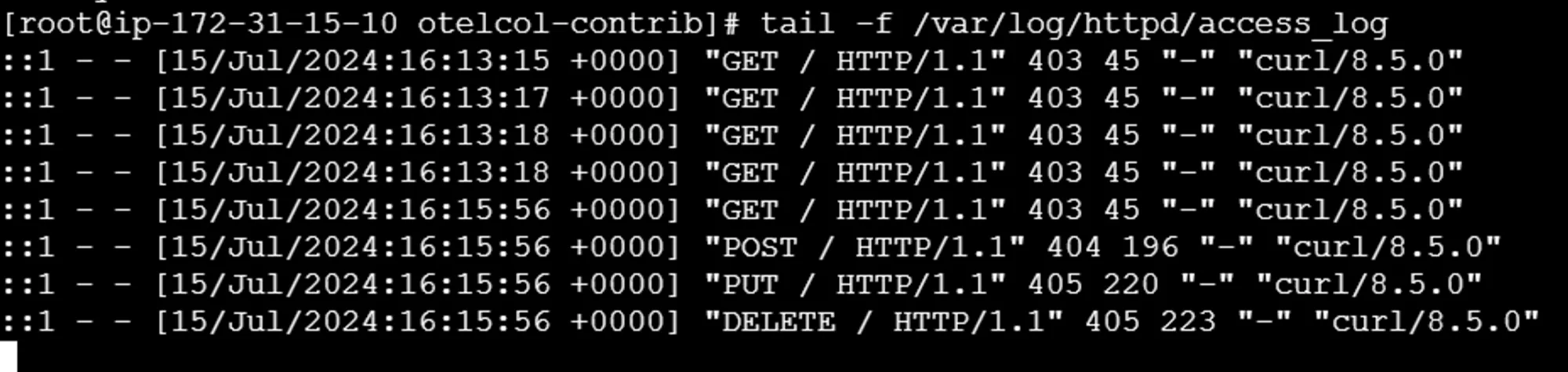 Verifying access logs in Apache